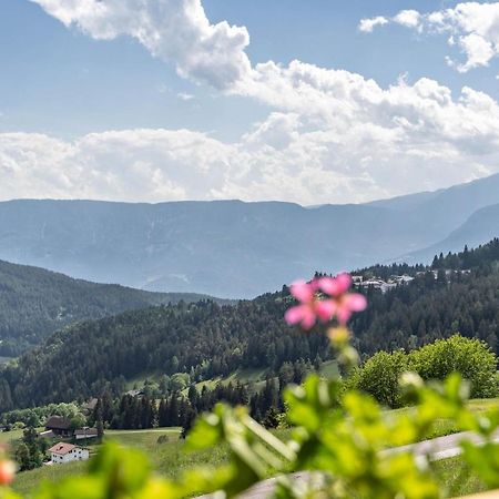 Haughof Apartement Blumenwiese Verano Esterno foto