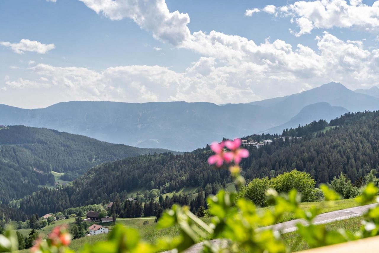 Haughof Apartement Blumenwiese Verano Esterno foto